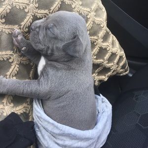 Meet your Posher, Denise